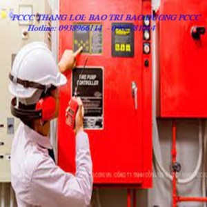 BAO TRI 29367